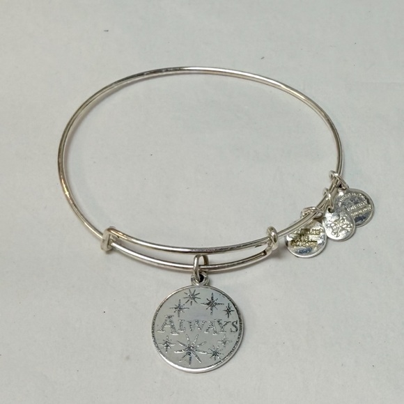 Alex and Ani Harry Potter Silver Charm Bangle Bracelet - Picture 1 of 1